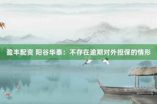 盈丰配资 阳谷华泰：不存在逾期对外担保的情形
