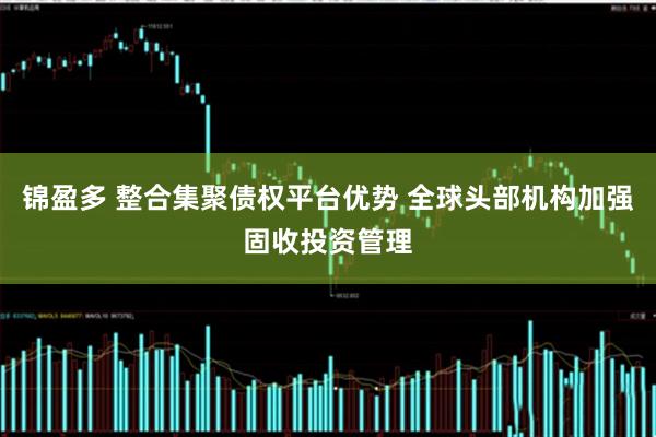锦盈多 整合集聚债权平台优势 全球头部机构加强固收投资管理