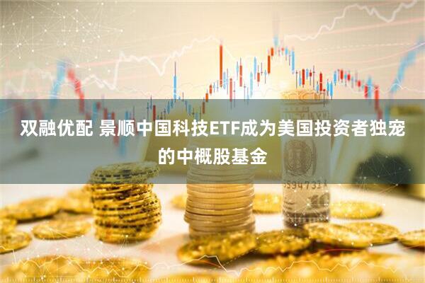 双融优配 景顺中国科技ETF成为美国投资者独宠的中概股基金